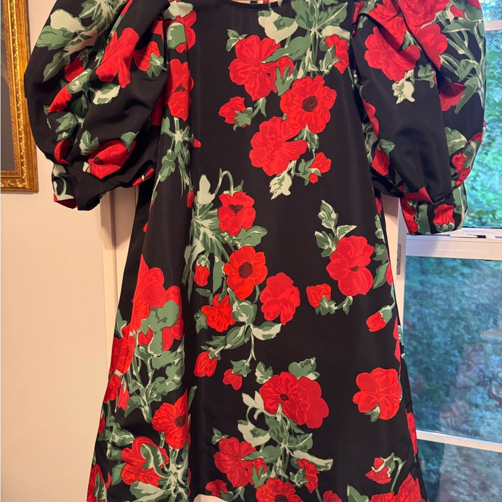 Loeffler Randall Black Dress with Red Floral Print